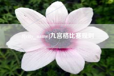 三明九宫格比赛规则