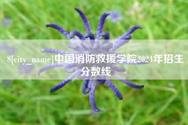 三明中国消防救援学院2024年招生分数线
