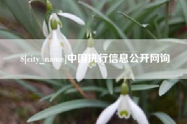 三明中国执行信息公开网询