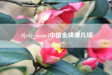 三明中国金牌哪几项