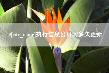 三明执行信息公开网多久更新