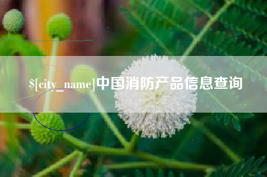 三明中国消防产品信息查询