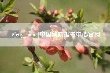 三明中国消防报考中心官网