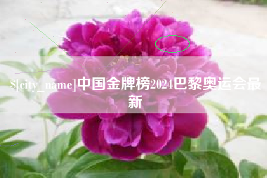 三明中国金牌榜2024巴黎奥运会最新