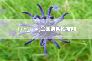 三明全国消防招考网