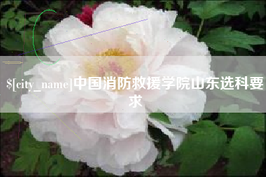 三明中国消防救援学院山东选科要求
