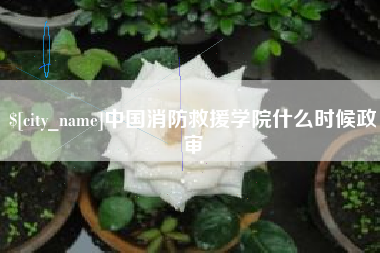 三明中国消防救援学院什么时候政审