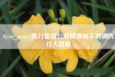 三明执行信息公开网查询不到被执行人信息