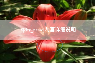 三明九宫详细说明