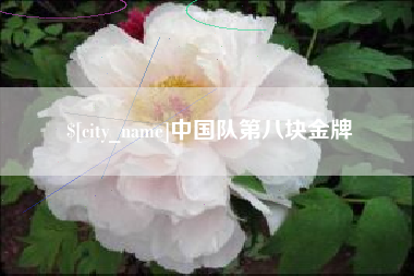 三明中国队第八块金牌