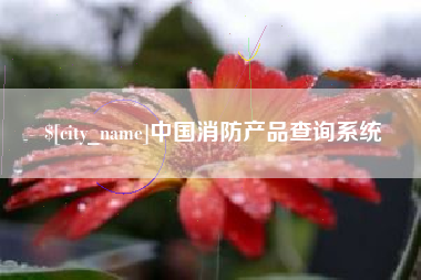 三明中国消防产品查询系统