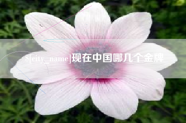三明现在中国哪几个金牌