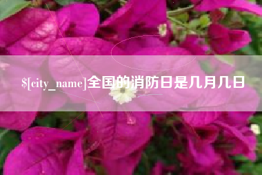 三明全国的消防日是几月几日
