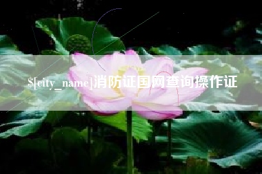 三明消防证国网查询操作证