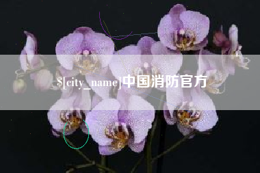 三明中国消防官方