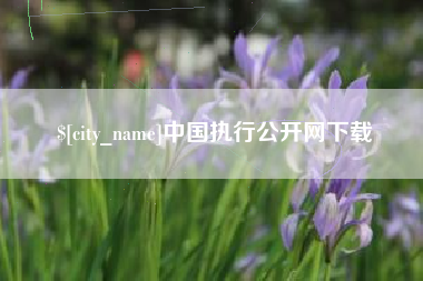 三明中国执行公开网下载