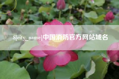 三明中国消防官方网站域名