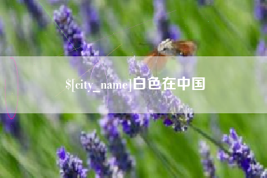 三明白色在中国