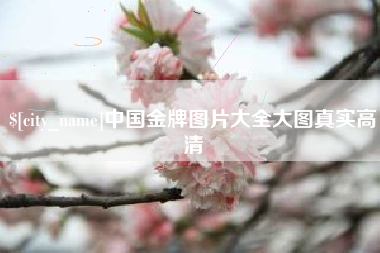 三明中国金牌图片大全大图真实高清