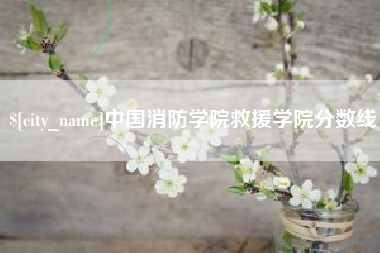三明中国消防学院救援学院分数线