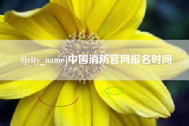三明中国消防官网报名时间