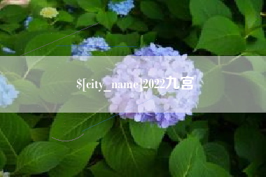 三明2022九宫