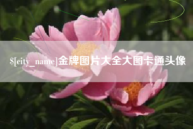 三明金牌图片大全大图卡通头像