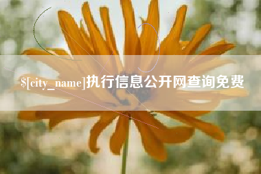三明执行信息公开网查询免费