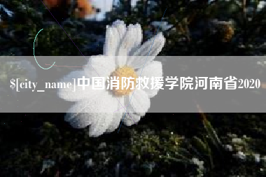 三明中国消防救援学院河南省2020